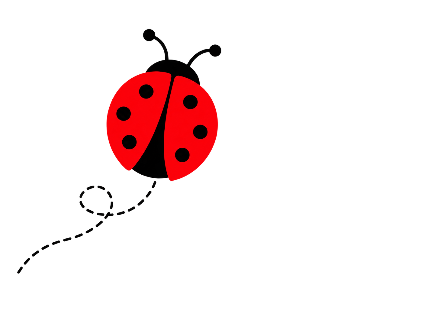 Lady Bird Professional Services in Austin-area