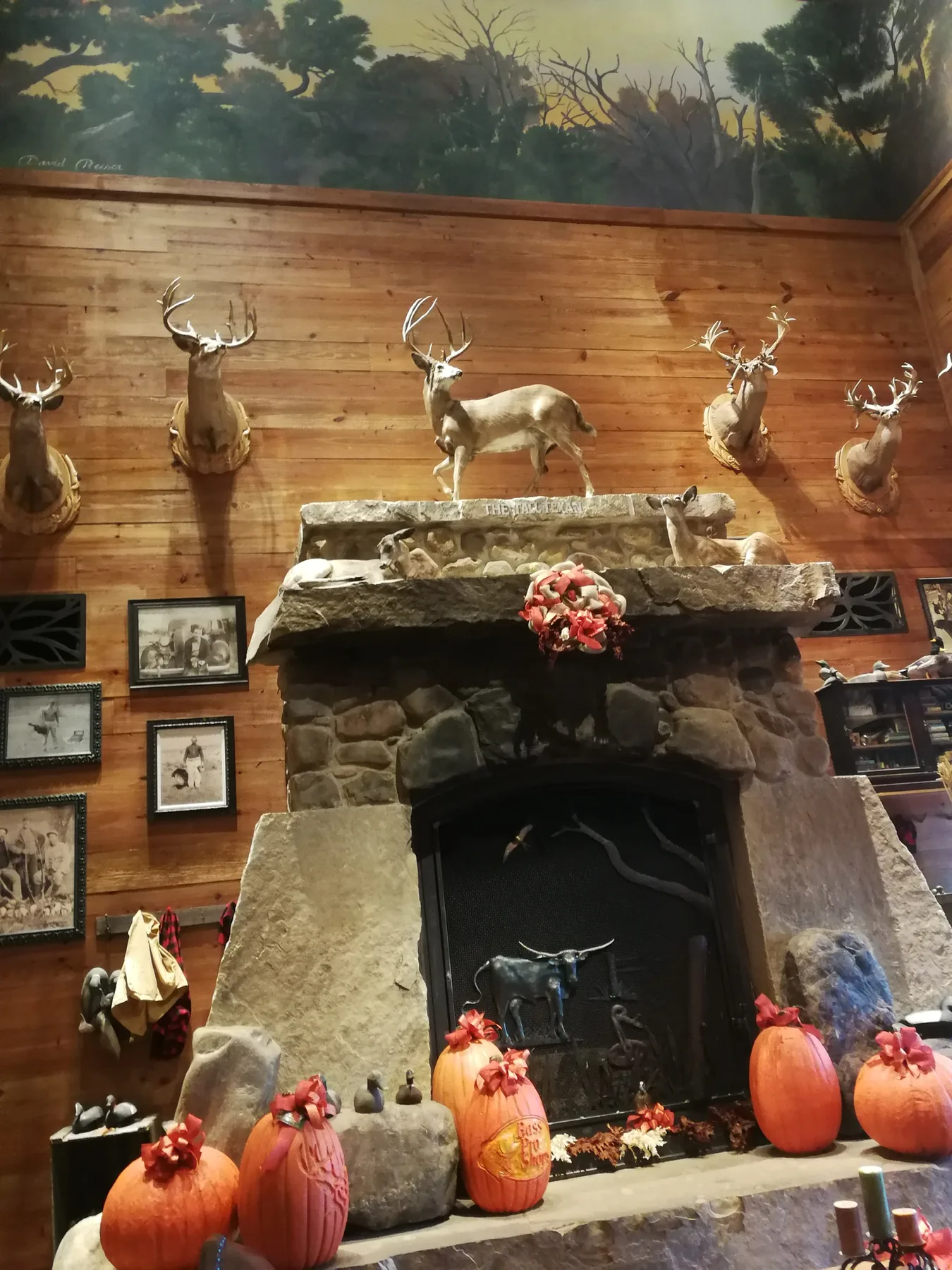 Fireplace interior in Austin, Texas