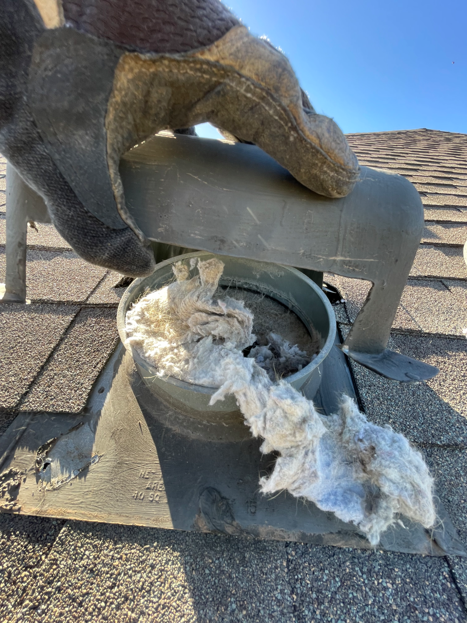 Lady Bird dryer vent service on an Austin-area roof